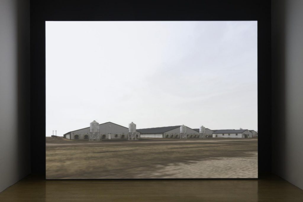 Fig. 8. John Gerrard, Sow Farm (near Libbey, Oklahoma) 2009, 2009 (T14279), installed at the Tate Britain in 2016. ©John Gerrard and Tate, London 2018